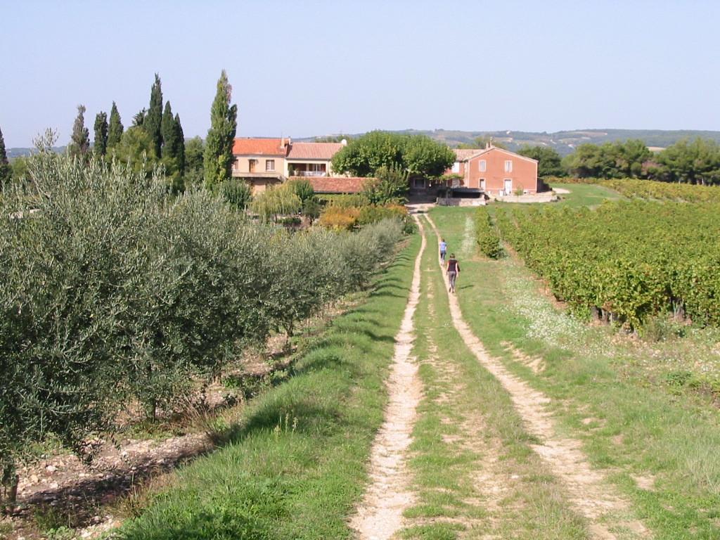 Buisson Le Petit Champ 빌라 객실 사진